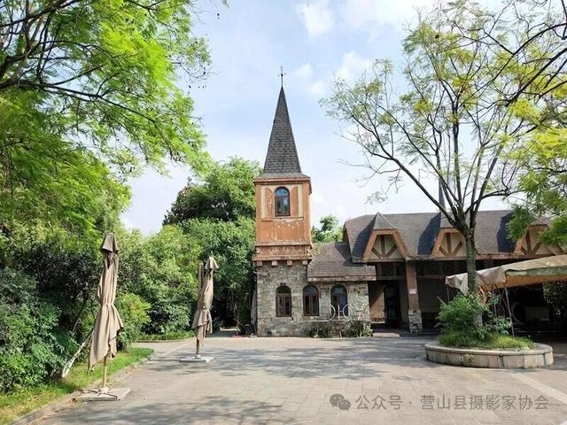 李永辉：水墨画卷——成都南湖公园