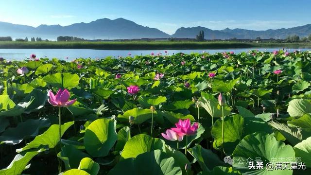 浑源县历史沿革
