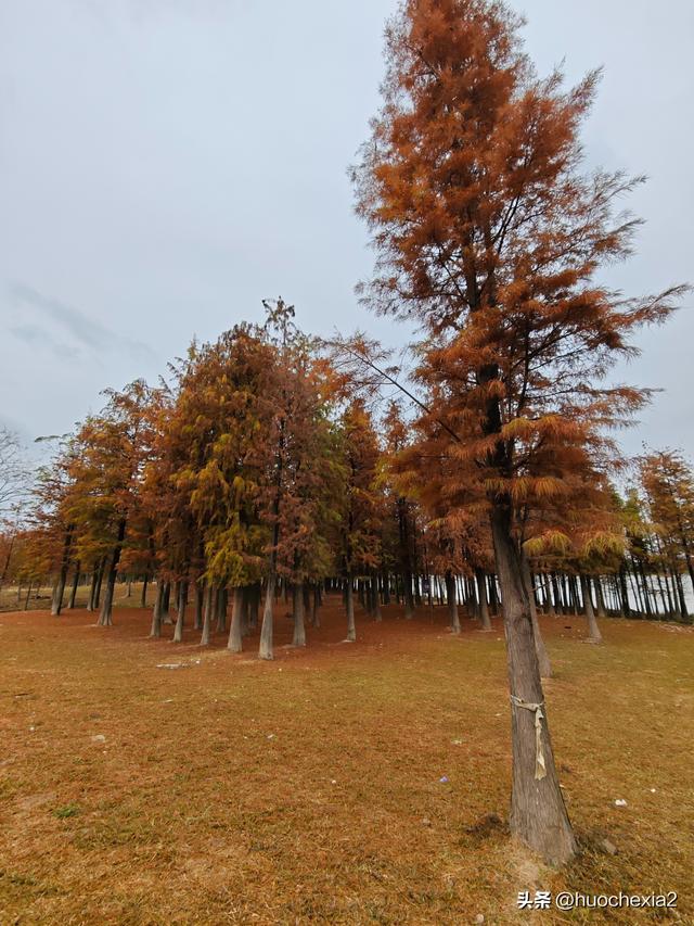 佛山真好逛——火红的小布村