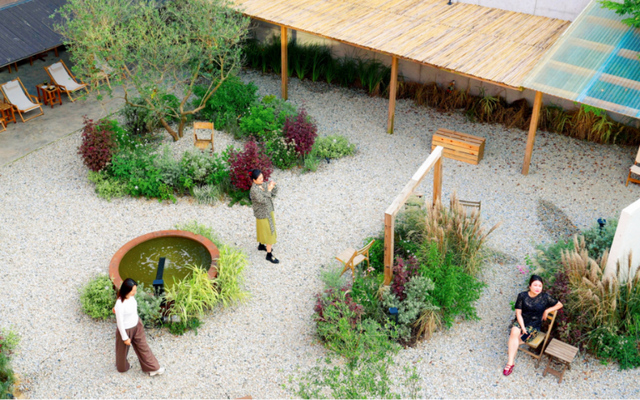 荣山寮·寮里的花园 | 向海而生，向慢而活