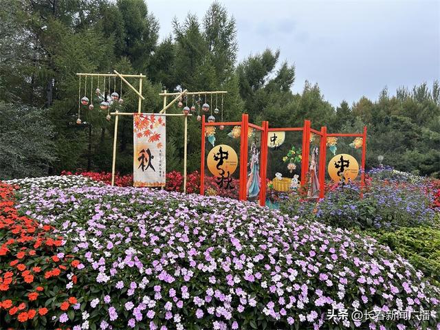 赏菊正当时！长春市百花园第三届金秋菊花展启幕