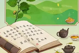 “辛凉解表剂”桑菊饮之方证辨析图片