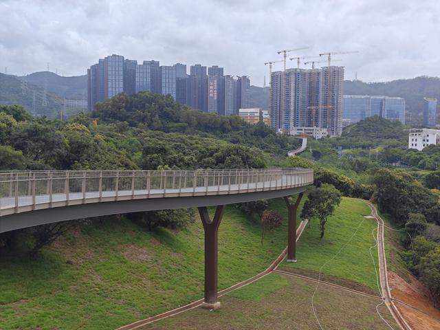 西丽湖国际科教城绿道高清随拍
