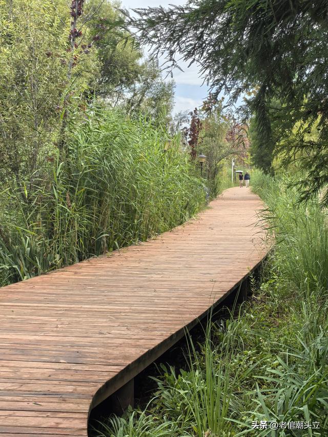 冬天的早上 晒着太阳从大观楼徒步到西山茶马花街 是什么样的感受？