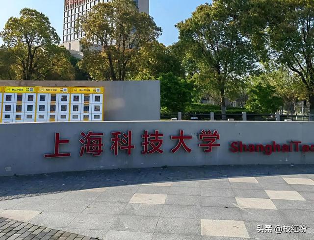 上海考研率榜单出炉！上科大双第一凭啥？同济上财差在哪？