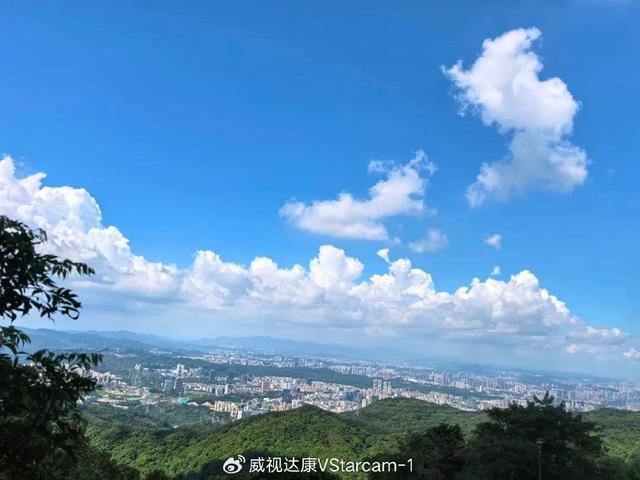 今日阳光正好，看鹰击长空！