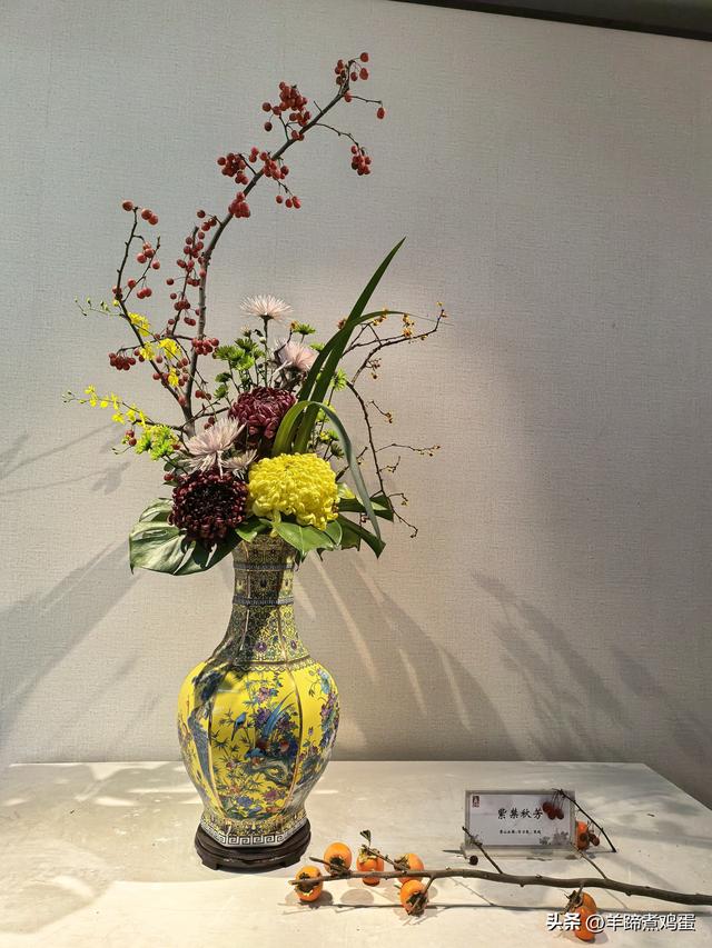 秋风独宠一园菊，晚来香艳出樊篱——北京北海公园2025年菊花展