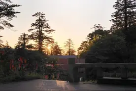 “子欲养而亲不待”，一场父子对话让网友泪奔图片