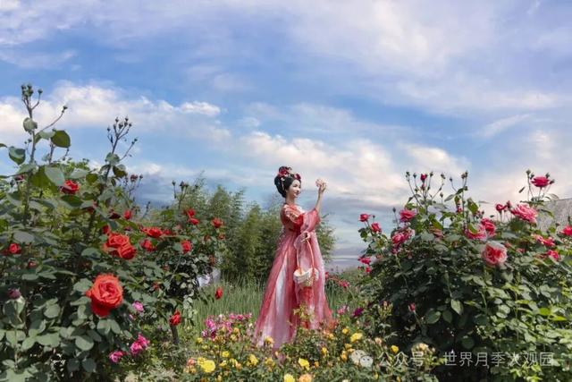 世界月季大观园 致每一位如约而来的你：抱歉，感谢，我们继续努力！