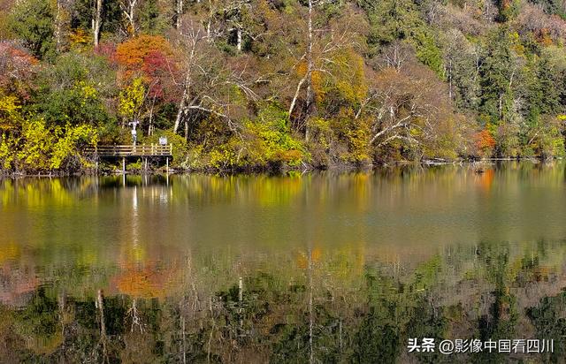 四川九寨沟：甲勿池金秋好风光