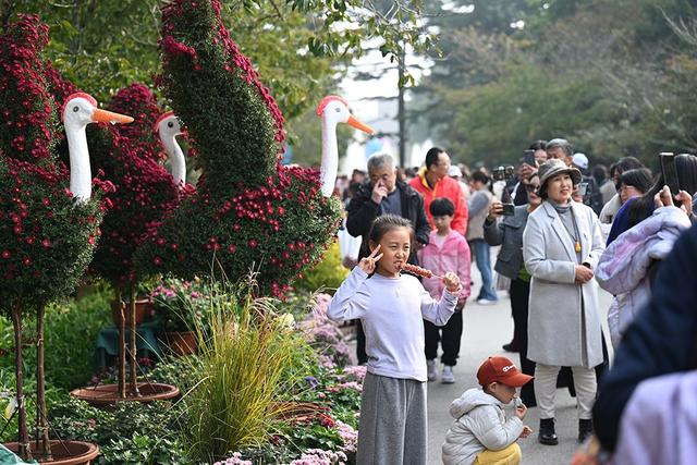 仪式感拉满 中山公园第41届菊展邀你共赴秋日之约