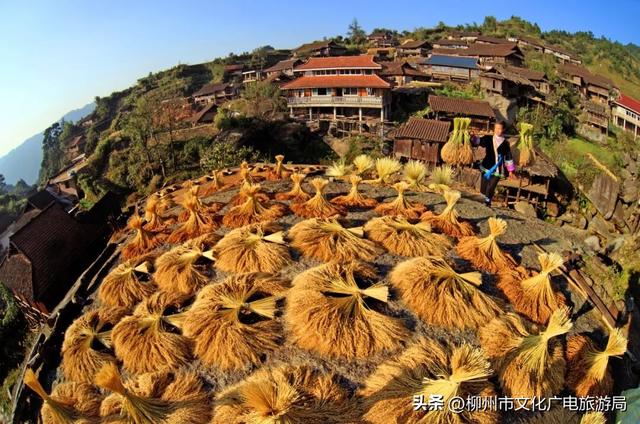 你没眼花！现在给你的是《2026放假安排（柳州版）》！速转存了解！