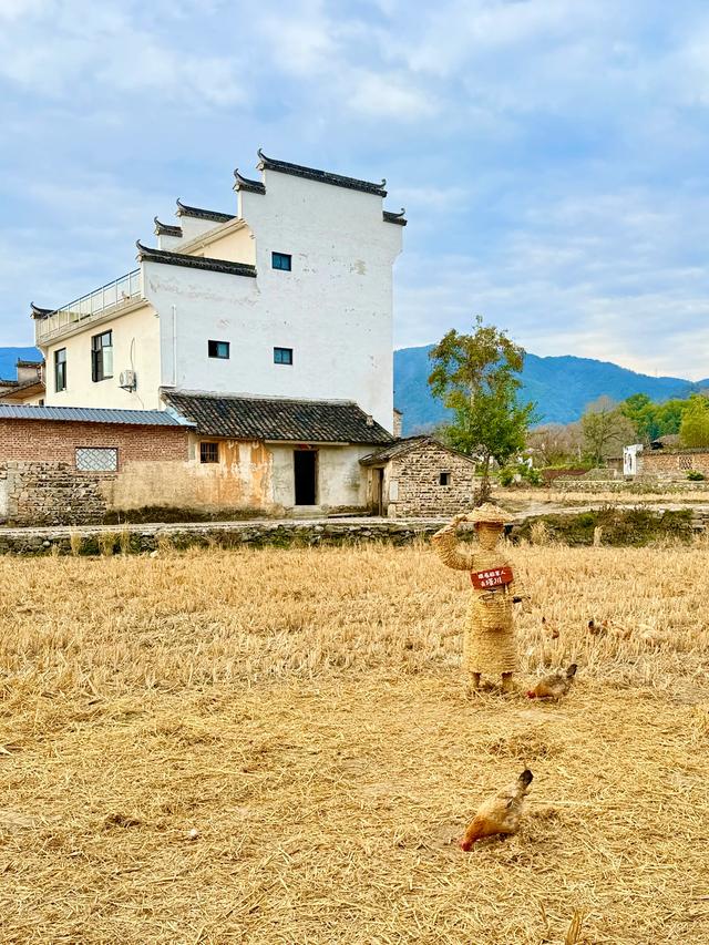 追着晚秋(黟县宏村镇塔川村)