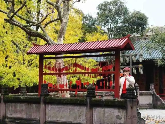 开始刷屏！🤩🤩 崇州罨画池迎来颜值巅峰