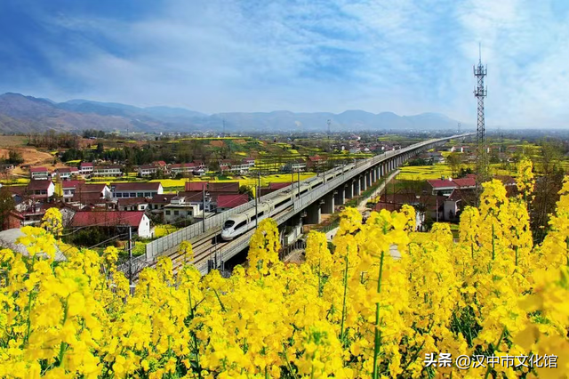 重磅来袭！2026最美油菜花海汉中春季文化旅游季精彩活动抢先看→