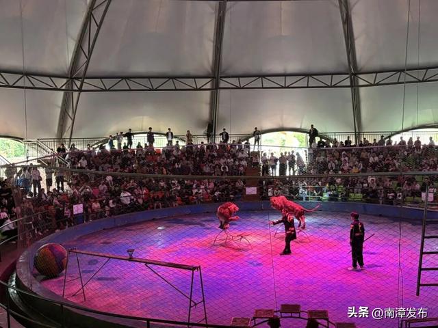 南漳国庆文旅市场热力全开，“奔县”旅游潮玩出新花样