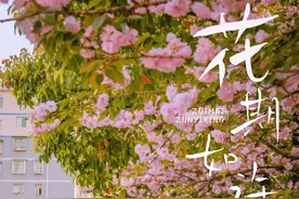 遵义这些绝美花海别错过！打卡攻略→图片
