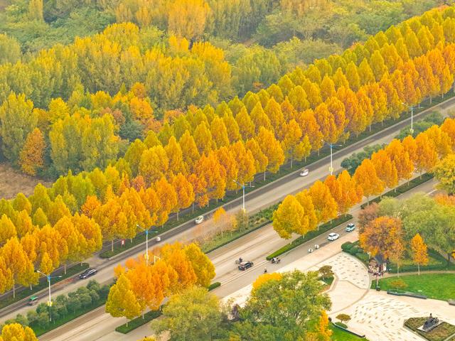 初冬访复圣文化园：与色彩和哲思对话