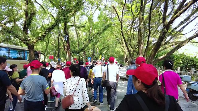 “铁腚大巴团”火出圈！退休老人疯狂旅游，究竟为哪般？