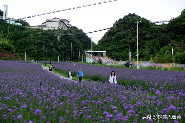 六盘水梅花山开启"童话+非遗"避暑季奇幻之旅