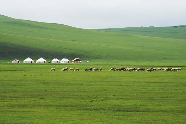 我是烟台人，去了一趟内蒙古后，忍不住想和大家分享我的内蒙印象
