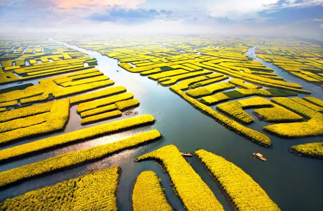 高铁直达!专列明天出发:早茶叫醒你的胃,足球点燃你的夜!