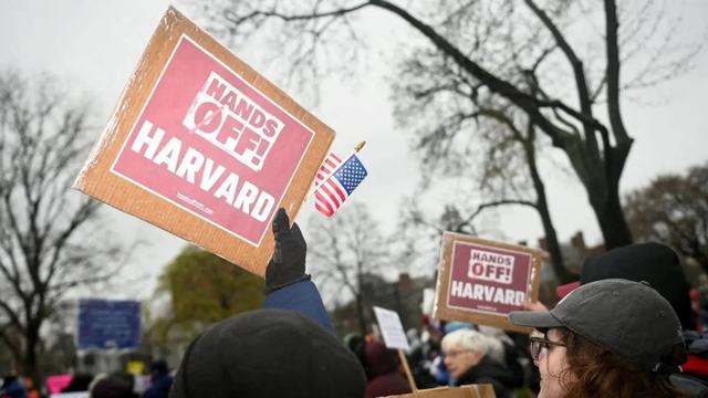 美国反犹事件激增，教授预言屠杀将至，历史是否会重演？