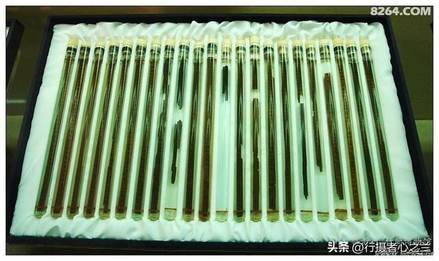 山东行游影记（54）—银雀山汉墓竹简博物馆（五）