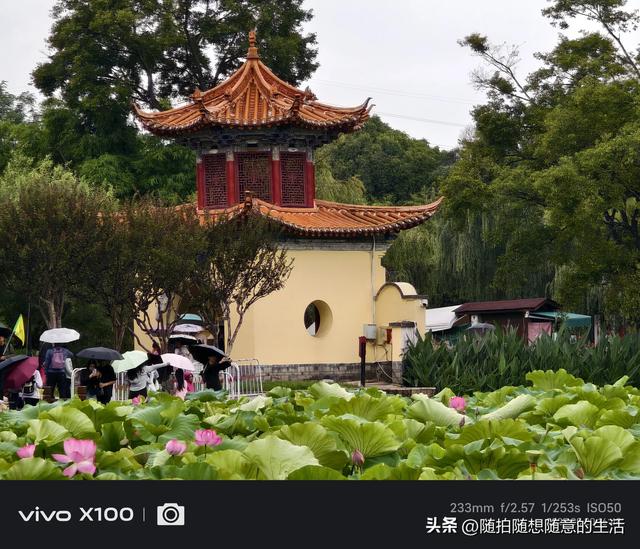 雨游大观园