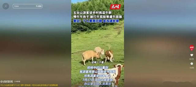 景区回应踩踏事件！游客徒步遭牛群踩，真相曝光网友骂活该