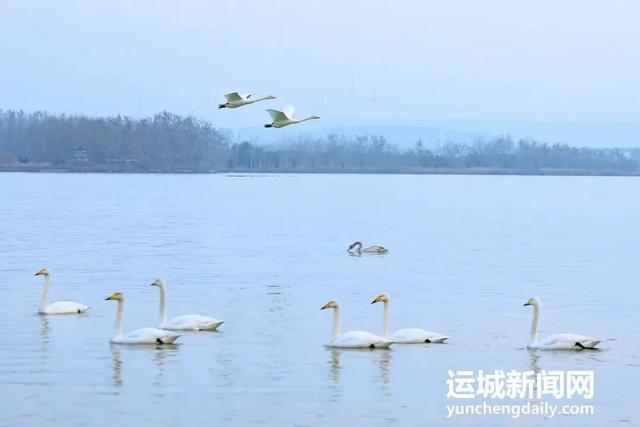 你好，11月！运城文旅精彩大放送~