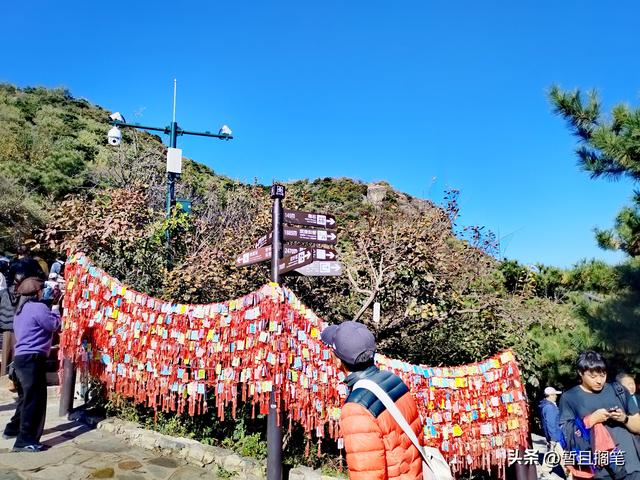以我4次经历，带你打卡北京香山，北京的朋友请补充