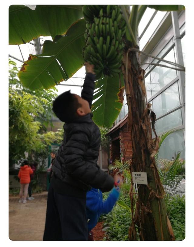 北京零下15度这里25℃穿短袖 隐藏的"小西双版纳"火了