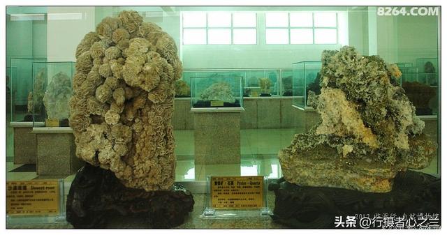 山东行游影记（31）—平邑天宇自然博物馆（六）