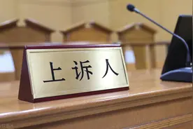 一审败诉后，二审翻案几率有多大？图片