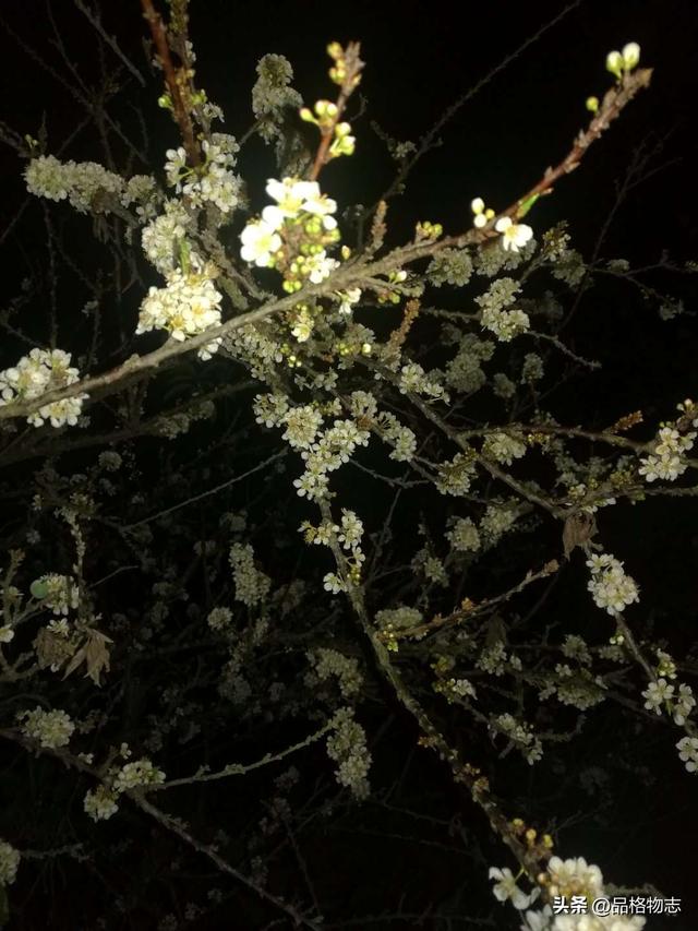 熟人关系的保鲜剂：避开5个毁灭型陷阱