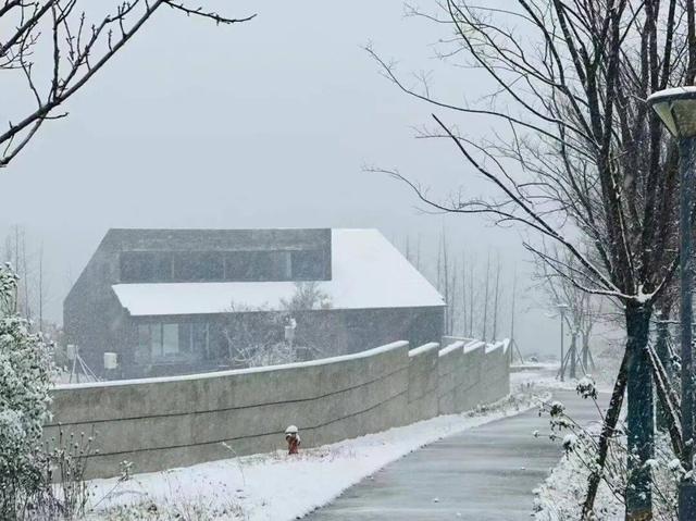 雪҈ 雪҈ 雪҈ 太美啦！快接住这“泼天”的雪白浪漫！