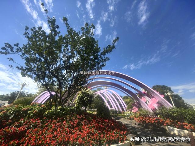 广州周末治愈地！地铁直达城央湿地，花湖鸟+草地野餐解锁松弛感