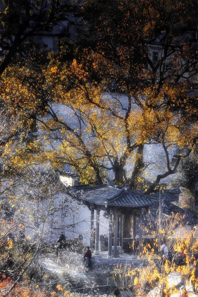 11月旅行地推荐！这13个赏秋地无对手，还藏着国内四大绝美秋色