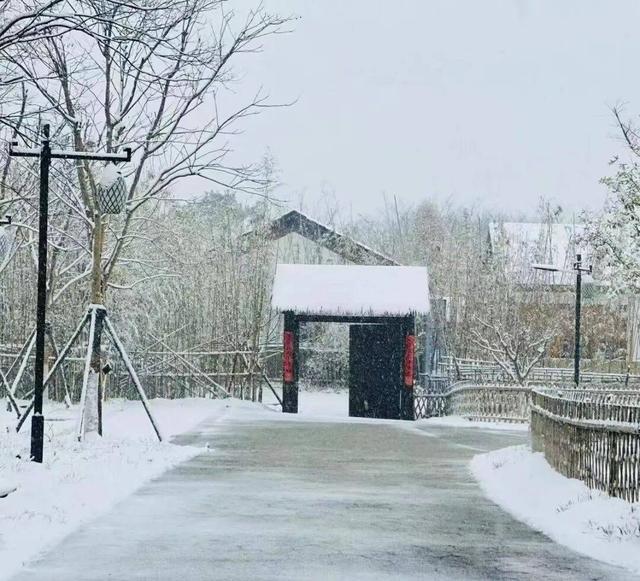 雪҈ 雪҈ 雪҈ 太美啦！快接住这“泼天”的雪白浪漫！