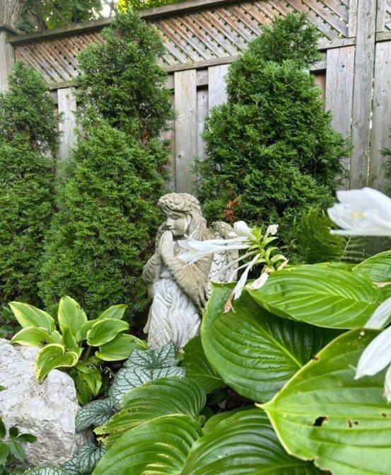 “阴花不能进阳宅”，家里若有这5种花，请赶紧“搬出去”！