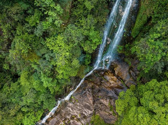 树“隧道”、海上潮玩、峡谷氧吧、飞瀑流泉……解锁山海清凉之旅→