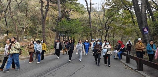 欢度重阳佳节！千山景区客流爆棚
