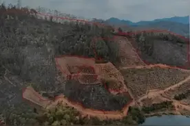 均被判刑！6起森林火灾典型案例再敲警钟图片