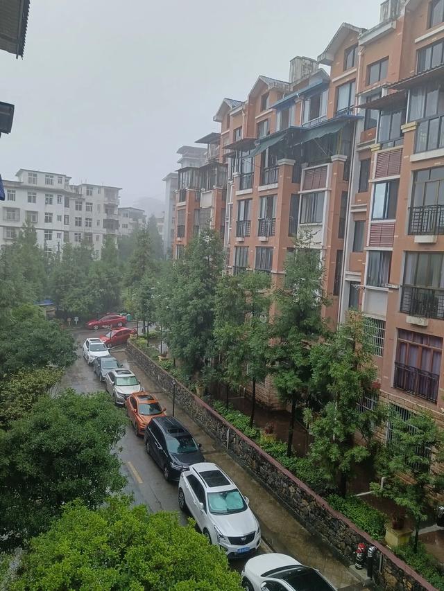 对苏马荡避暑生活有始有终，才让她们嗅到机会，能捡大瓜