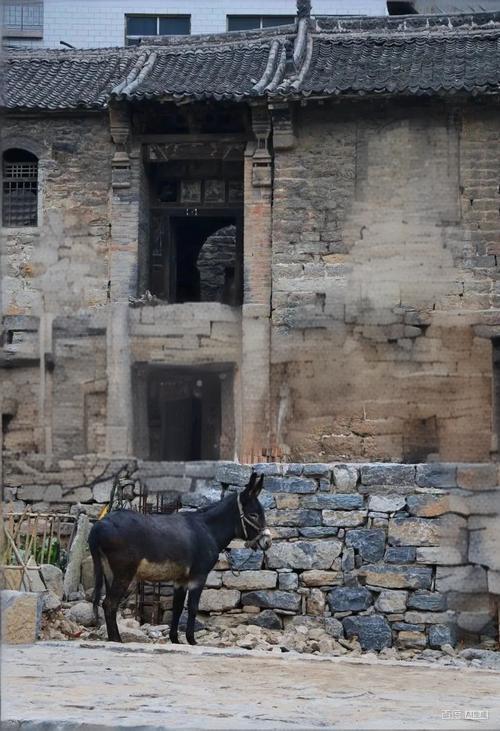 邯郸涉县冬至奇俗，牲口也过生日，给牲口放天假，做一顿好吃的