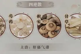 巧用疏肝祖方——四逆散解决你的难言之隐图片