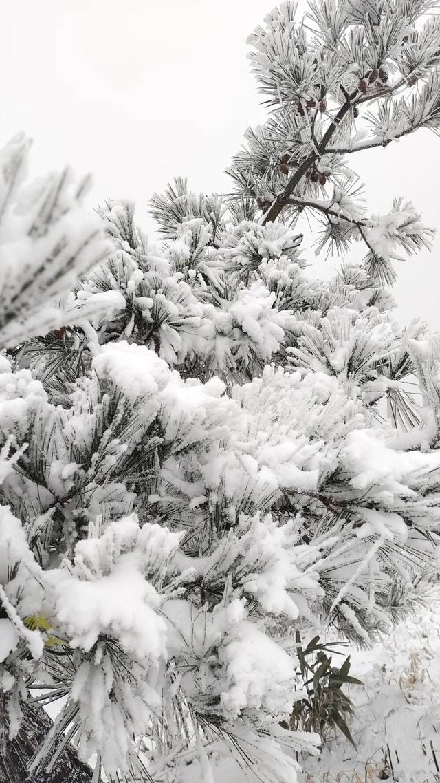 大雪暴雪、中雨大雨要来了！