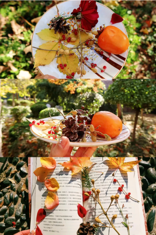 我捡，我捡，我在潍坊捡捡捡！