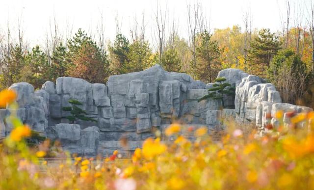 海淀“阿那亚”藏不住了！“白沙滩”成新晋热门打卡地